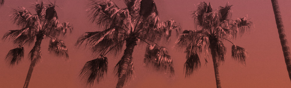 Ana Criado: dissenyant a Califòrnia amb Kyle Cooper