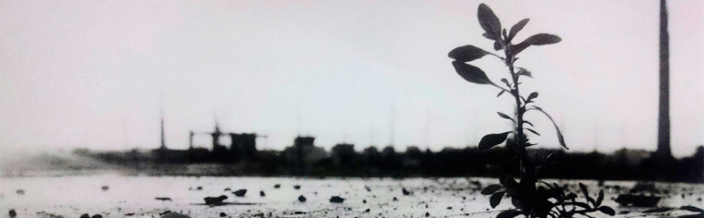 «Haluros», exposició d’alumnes de Foto a Burjassot