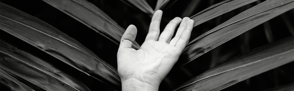 Raquel Norte, alumna de Foto, exposa al Botànic