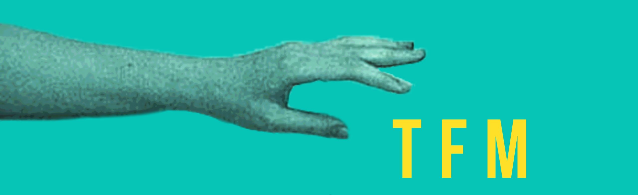 Presentación de Trabajos Fin de Máster EASD Valencia. Convocatoria Octubre 2016