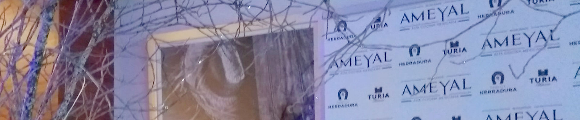 Interiores interviene en el Restaurante Ameyal