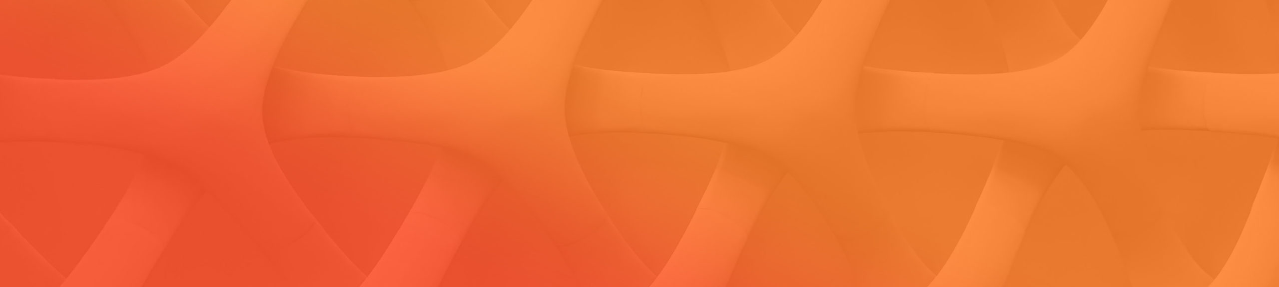 Nueva Convocatoria Especialista Co-Identidad