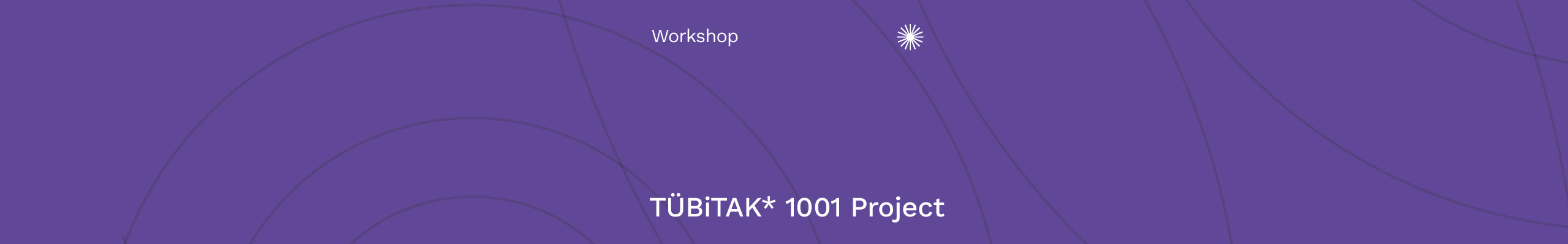 Whorkshop TÜBiTAK* 1001 Project